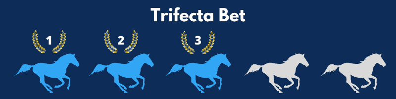 A Trifecta Bet is when the bettor selects the first, second, and third places finishers in exact order.