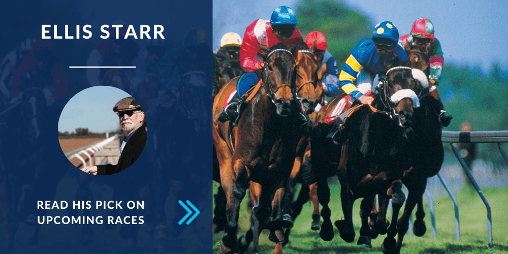 Gulfstream and Los Alamitos Horse Racing Picks for Saturday, December 12, 2020 AmWager