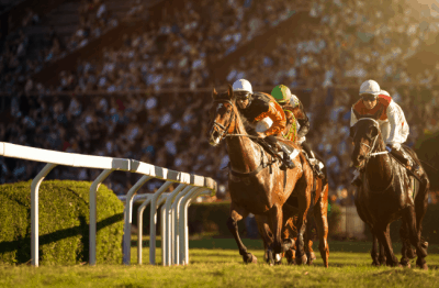 Knowing how to bet on horses can give you an advantage on race day.
