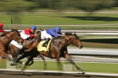 This guide simplifies and explains horse racing odds and how to calculate them.