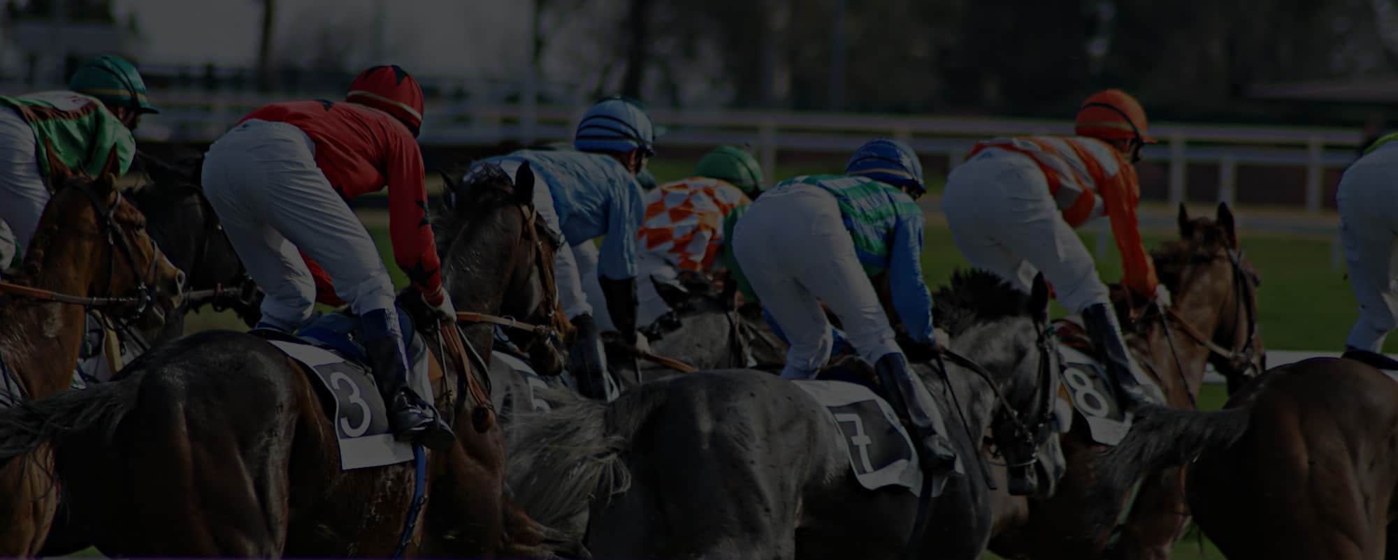 Del Mar Race Track | AmWager | Online Horse Betting